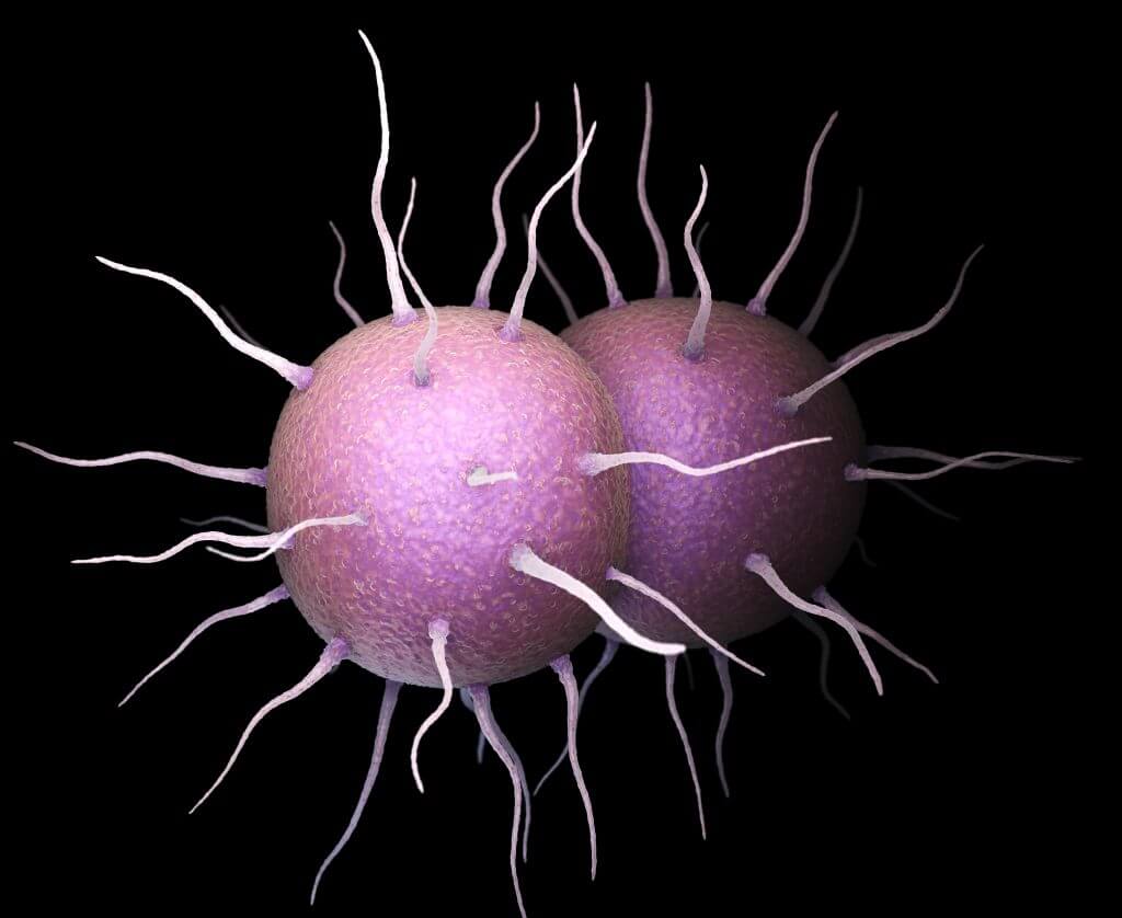 gonorrhea, reproductive health, family planning, sexually transmitted infection, sti