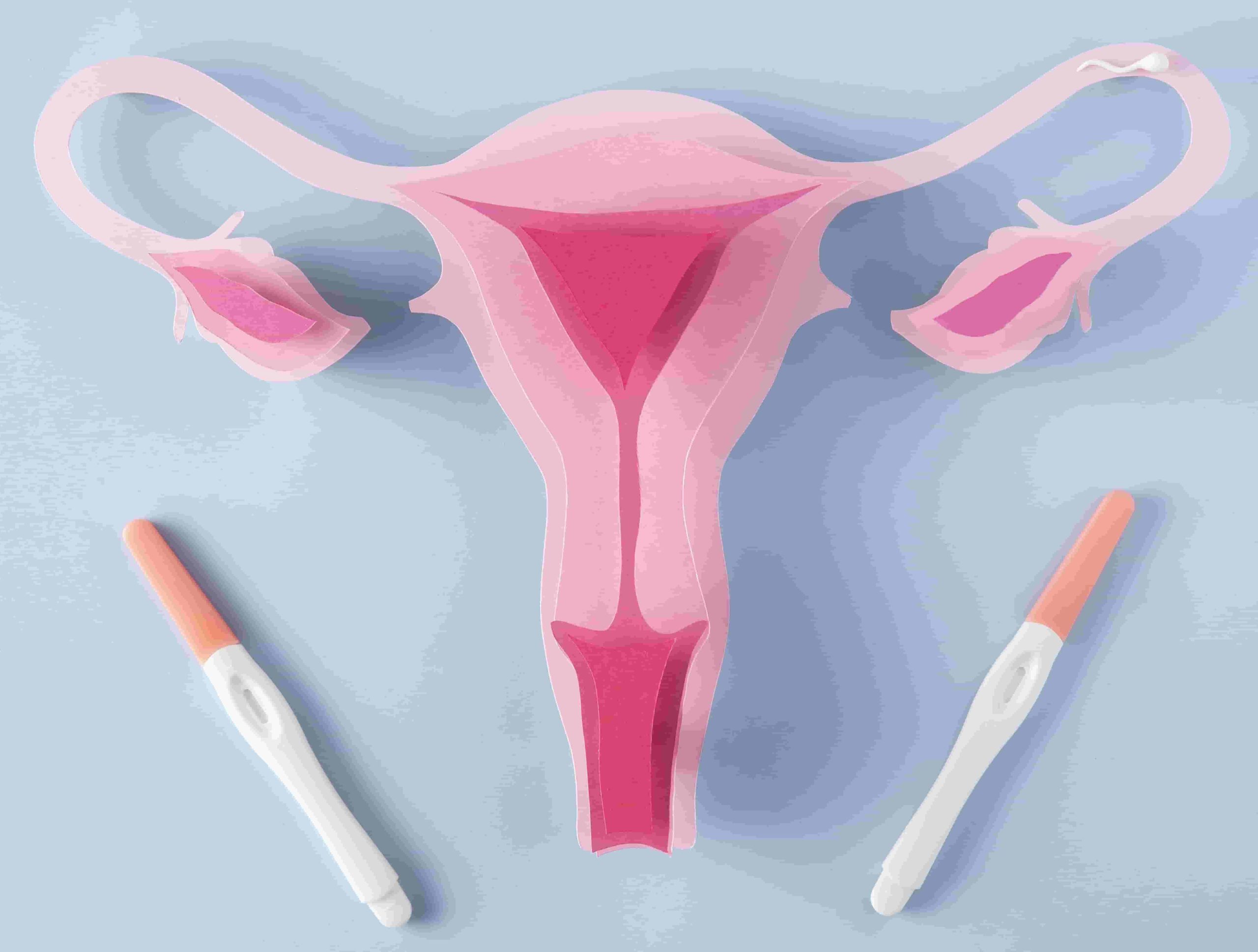 How accurate are home pregnancy tests?